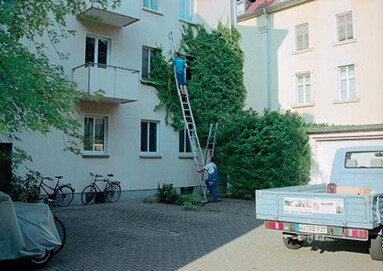 Gärtner entfernt Efeu von Hausfassade mit Hilfe einer Hebebühne.